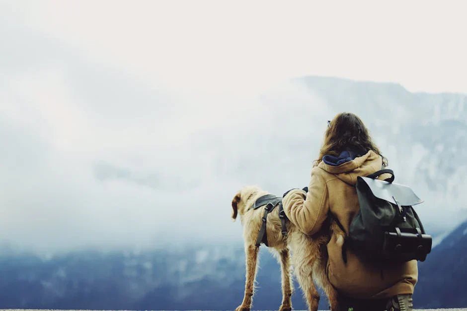 The Best Adjustable Dog Carrier for Every Adventure!