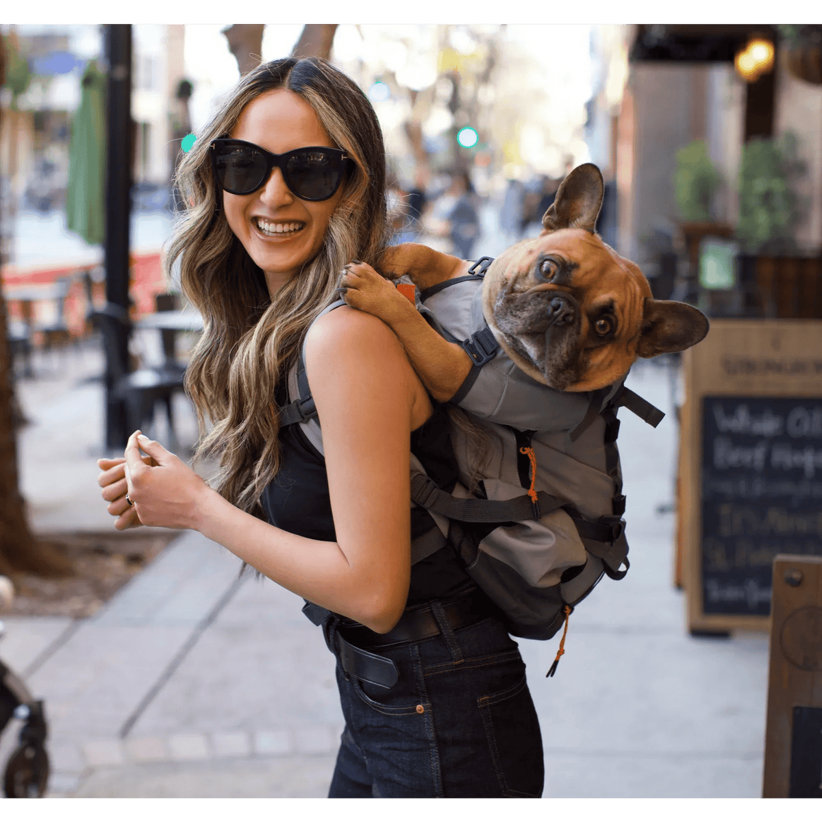 How long can a dog stay in a carrier?