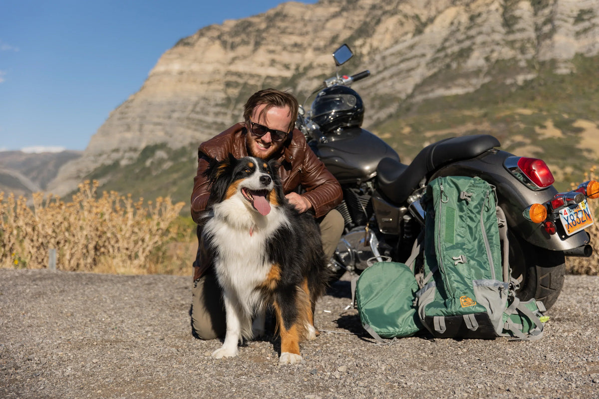 Unleash Your Adventures with the K9 Sport Sack® Plus 2