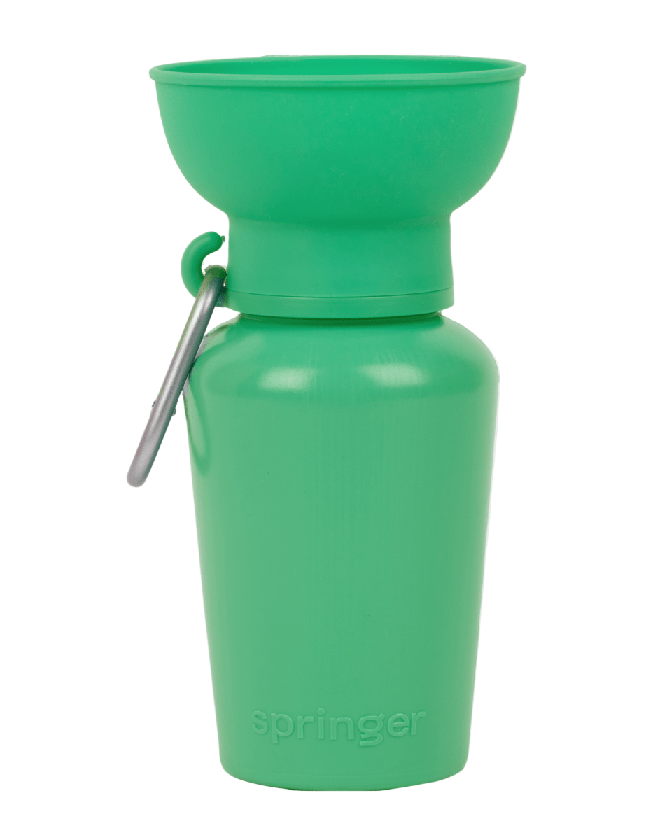 #color_green