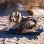 Sleeper | Inflatable Dog Bed with Washable Cover