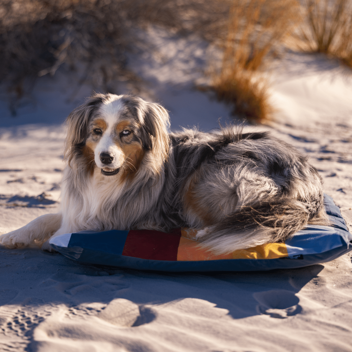 Sleeper | Inflatable Dog Bed with Washable Cover