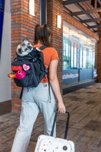 Sky Pack | Convertible Dog Backpack & Pet Carrier