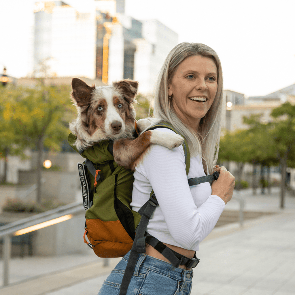 Klearance Urban 3 | Dual Use Dog Carrier & Traditional Backpack