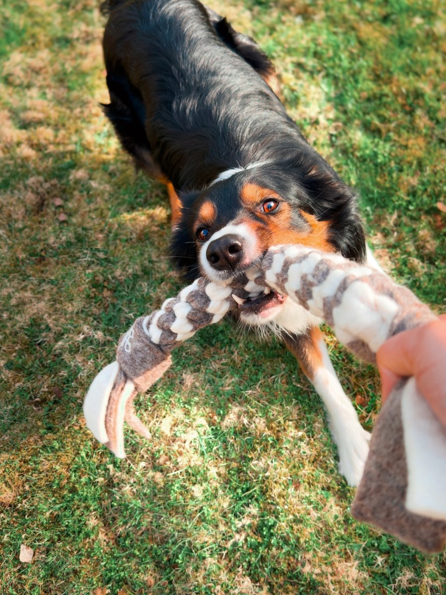 Wooliie 100% Wool Dog Toys
